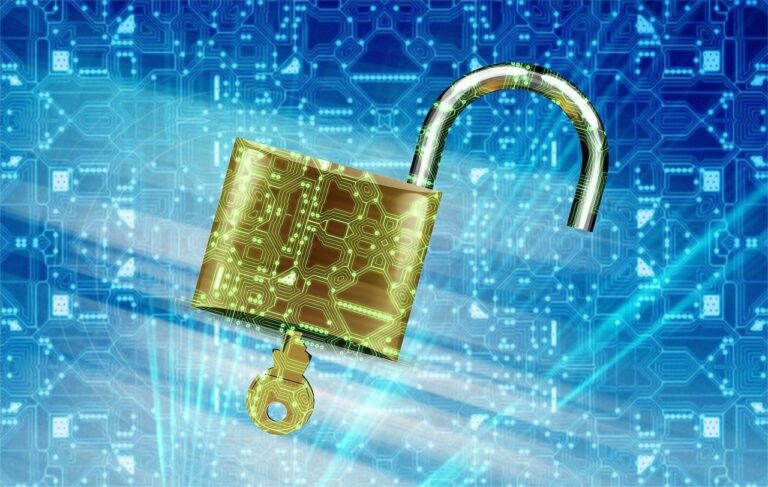 Sicherheit und Privatsphäre auf digitalen Pfad durch VPNs